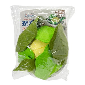 y݌ɏEAEgbgzW@TTOY@Lxc@p@mߋ@ypbP[WܖErj[܂ɓĂ܂z