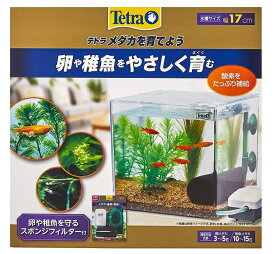 楽天市場 水槽 在庫処分の通販 楽天市場 水槽 在庫処分の通販