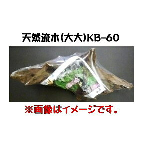 y݌ɏzVR؁@@KB-60@̃fBXvC