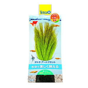 y݌Ɍzeg@A[gvg@lHANZT[@ybgpi Mы ANAEpi CAEgpi