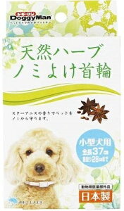 y݌Ɍzy[։zhM[} VRn[u m~悯 ^p(1R)@pbP[Wɓiݓĵ鏤i܂B`OX֋yу[ցiNbN|XgjŔ