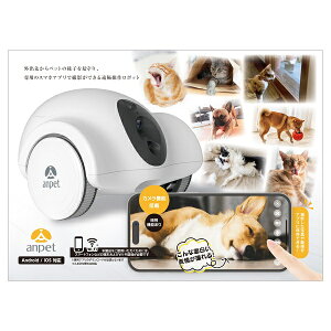 yanpetzAybg@ɂ񌩎@pAvŉułJt{bg@ELp