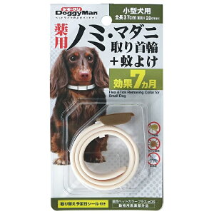 y݌Ɍzy[։E݌ɌzhM[} pm~E}_j+悯 7 ^p@ [ցiNbN|XgjŔ]̕A250~őΉIڂ͏