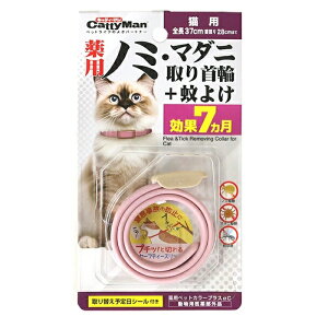 y[։zLeB[} pm~E}_j+悯 7@Lp@pbP[WɎ኱̓icݓjꍇ܂B@[ցiNbN|XgjŔ