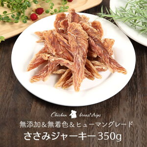 ݃W[L[ 350gyY Y Fz |    ӂ肩 { W[L[ hC TT~ hbOt[h  ݂  ybgA RfBeB [ KTCSSBG350G01 ]