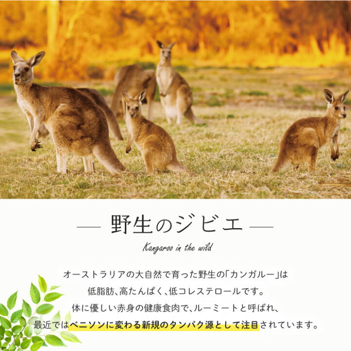 楽天市場】KiaOra キアオラ 犬 カンガルー 800g ＜2個セット＞ 【 送料 