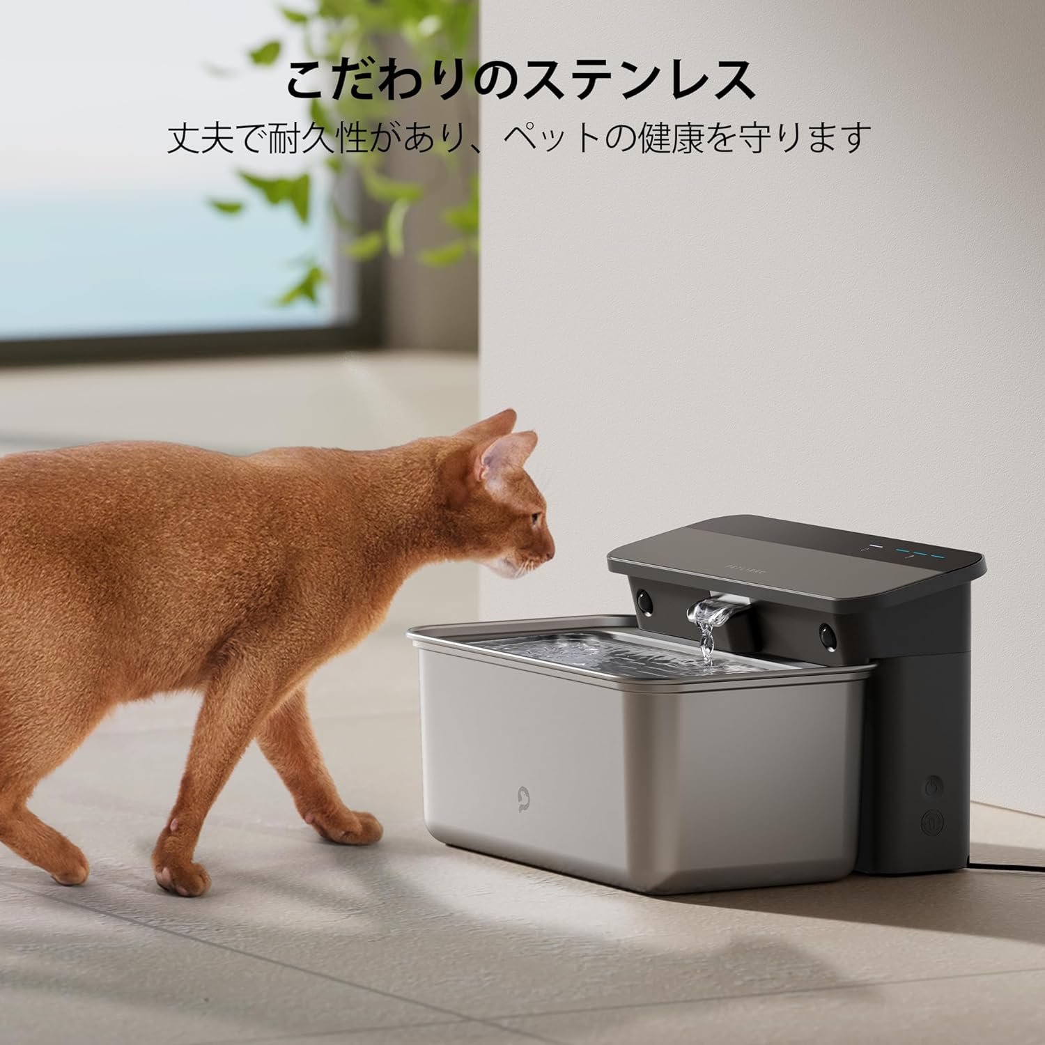 楽天市場】PETLIBRO 猫 水飲み器 スマホ対応 水飲み量追跡可能
