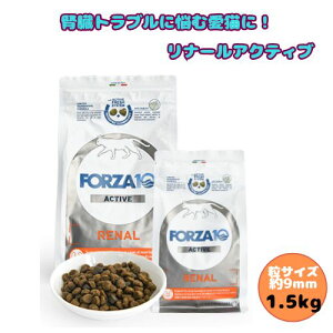 ÿꕔی쌢ցztHc@10 CAT i[ANeBu 1.5kg Lbgt[h hC h{H Lp t S L̃GT AM[ Lp Ö@H