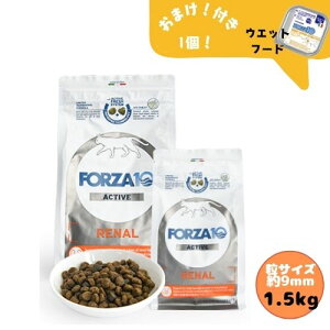 y܂tztHc@10 CAT i[ANeBu 1.5kg Lbgt[h hC h{H Lp t S L̃GT AM[ Lp Ö@H