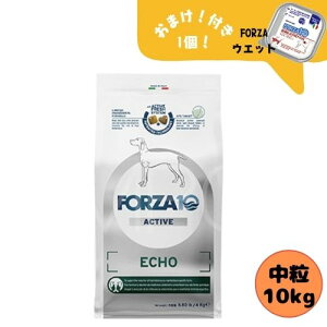 y܂tztHc@10 DOG GR[ANeBu ~fBA 10kg hbOt[h hC h{H Ö@H ̃gu tHc@fBG` p  ^ ^ p