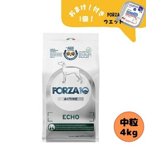 【おまけ付】フォルツァ10 DOG エコーアクティブ ミディアム 4kg ドッグフード ドライ 総合栄養食 療法食 耳のトラブル フォルツァディエチ 成犬用 中粒 中型犬 大型犬 犬用