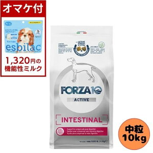 y1320~I}PtztHc@10 DOG CeXeBiANeBu ~fBA 10kg hbOt[h hC h{H Ö@H  ݒ tHc@fBG` p  ^ ^ p 