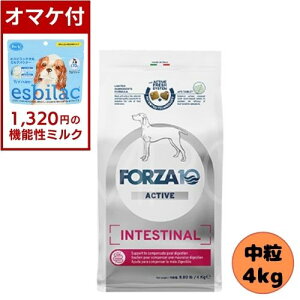 【1320円オマケ付】フォルツァ10 DOG インテスティナルアクティブ ミディアム 4kg ドッグフード ドライ 総合栄養食 療法食 消化器 胃腸 フォルツァディエチ 成犬用 中粒 中型犬 大型犬 犬用 お
