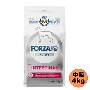 【売上の一部が保護犬へ】フォルツァ10 DOG インテスティナルアクティブ ミディアム 4kg ドッグフード ドライ 総合栄養食 療法食 消化器 胃腸 フォルツァディエチ 成犬用 中粒 中型犬 大型犬