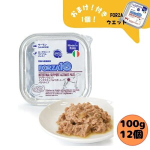【おまけ付】フォルツァ10 DOG アクティウェット インテスティナル(消化器ケア)100g×12個 犬用 ドッグフード 胃腸トラブル 療法食 フォルツァディエチ 成犬用 総合栄養食 消化不良 お腹 ウ