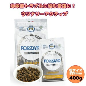 ÿꕔی쌢ցztHc@10 CAT Ei[ANeBu 400g Lbgt[h hC h{H Lp A AH L̃GT AM[ Lp Ö@H