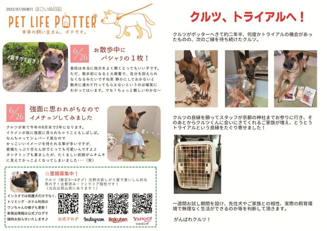 楽天市場 ペットを売らないペットショップ Potter ペットライフポッター楽天市場店 トップページ
