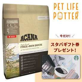 楽天市場 スターバックス 赤 ペット ペットグッズ の通販