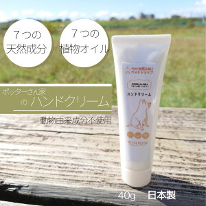 ی쌢i|b^[Ƃ̃nhN[ 40g B[Kdl  VR AIC ێ  XLPA