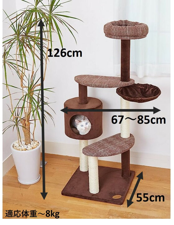 楽天市場】在庫処分セール【正規品】ペティオ アドメイト 猫のおあそび 