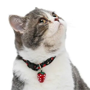 y[ցzCAT Amo.k A[NX Lbg  J[ zCg ubN S M TCY Lp  Z[teB[obN 810106