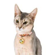 【メール便】CAT Amo.k アモワークス キャット J-大菊 カラー レッド ブラック S M サイズ 猫用 首輪 セ…