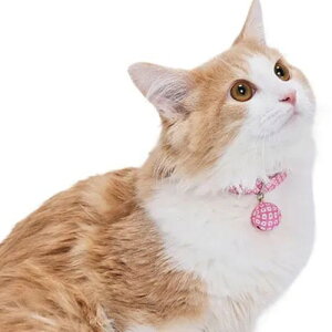 y[ցzCAT Amo.k A[NX Lbg J-a J[ sN O[ S M TCY Lp  Z[teB[obN 810116