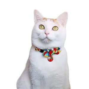 y[ցzCAT Amo.k A[NX Lbg q J[ bh u[ S M TCY Lp  Z[teB[obN 810048