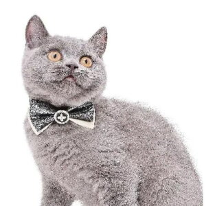 y[ցzCAT Amo.k A[NX Lbg p[eB[{ J[ bh ubN S M TCY Lp  Z[teB[obN 810152