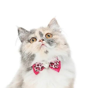 y[ցzCAT Amo.k A[NX Lbg @pT[{ J[ sN ubN S M TCY Lp  Z[teB[obN 810144