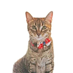 y[ցzCAT Amo.k A[NX Lbg@AJ[{ J[ bh lCr[ S M TCY Lp  Z[teB[obN 810034