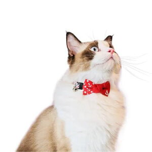 y[ցzCAT Amo.k A[NX Lbg@CJ`[ J[ bh lCr[ S M TCY Lp  Z[teB[obN 810045