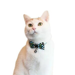 y[ցzCAT Amo.k A[NX Lbg@ J[ bh ubN S M TCY Lp Z[teBobN 810050