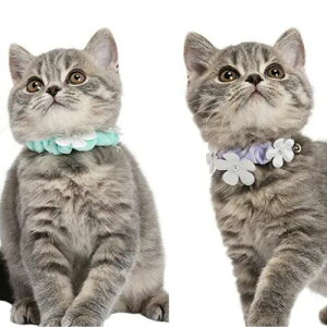 y[ցzCAT Amo.k A[NX Lbg@u[PVV J[ sN u[ O[ p[v S M TCY Lp Z[teBobN 810088