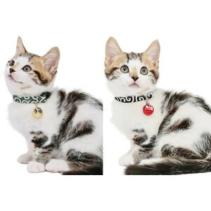 y[ցzCAT Amo.k A[NX Lbg@J- J[ zCg bh O[ ubN S M TCY Lp Z[teBobN 810092