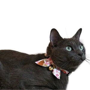 y[ցzCAT Amo.k A[NX Lbg@ {ڂ J[ zCg bh lCr[ S M TCY Lp Z[teBobN 810012