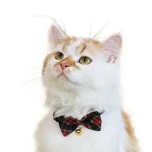 y[ցzCAT Amo.k A[NX Lbg@ `FbN{ J[ zCg bh ubN S M TCY Lp Z[teBobN 810002