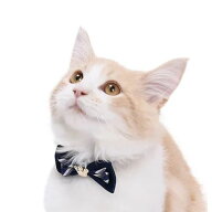 【メール便】CAT Amo.k アモワークス キャット　 ロイヤル カラー レッド ネイビー S M サイズ 猫用首輪 …