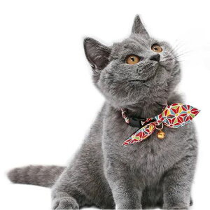 y[ցzCAT Amo.k A[NX Lbg@ J-؋ J[ bh ubN S M TCY Lp Z[teBobN 810084