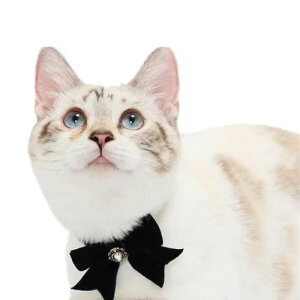 y[ցzCAT Amo.k A[NX Lbg@ xxbg{ J[ bh lCr[ S M TCY Lp Z[teBobN 810107