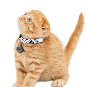 y[ցzCAT Amo.k A[NX Lbg@ sAm J[ zCg ubN S M TCY Lp Z[teBobN 810122