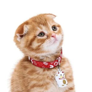 y[ցzCAT Amo.k A[NX Lbg@˂ J[ bh u[ S M TCY Lp Z[teBobN 810126