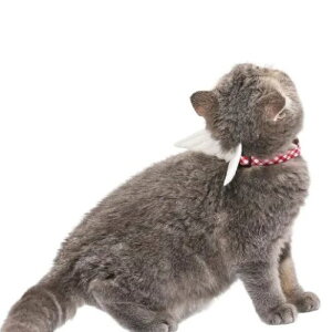 y[ցzCAT Amo.k A[NX Lbg@Vgƈ̉H J[ bh lCr[ S M TCY Lp Z[teBobN 810127