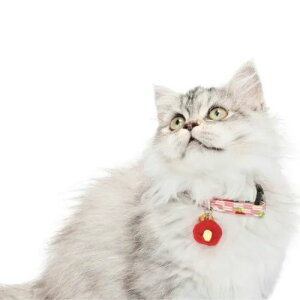 y[ցzCAT Amo.k A[NX Lbg@΂ J[ sN O[ S M TCY Lp Z[teBobN 810133