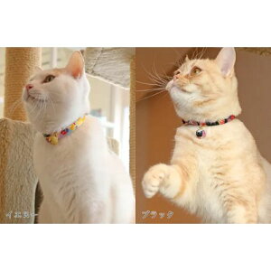 y[ցzCAT Amo.k A[NX Lbg@D J[ CG[bh ubN S M TCY Lp Z[teBobN 810065