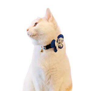 y[ցzCAT Amo.k A[NX Lbg@傤 J[ bh u[ S M TCY Lp Z[teBobN 810075