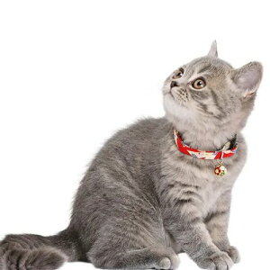 y[ցzCAT Amo.k A[NX Lbg@J- J[ bh ubN S M TCY Lp Z[teBobN 810086