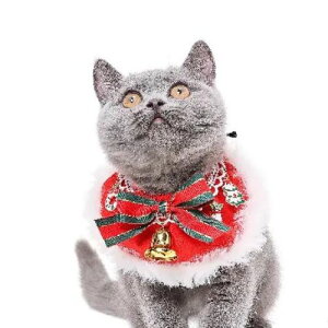 y[ցzCAT Amo.k A[NX Lbg@XmasX^C`[J[ Lp 810157