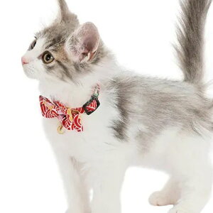 y[ցzCAT Amo.k A[NX Lbg@Cg~ڂ J[ bh ubN S M TCY Lp Z[teBobN 810091