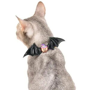 y[ցzCAT Amo.k A[NX Lbg@nEBfr S M TCY Lp Z[teBobN 810156